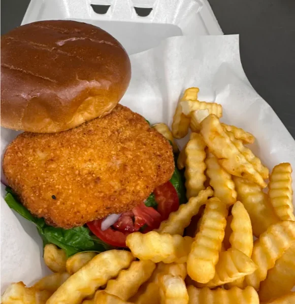 Chicken Burger with Fries